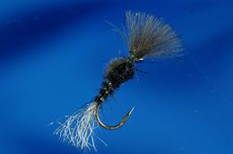 Shippo Black Emerger